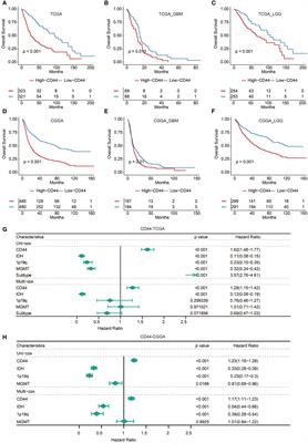 RUNX1/CD44 axis regulates the proliferation, migration, and immunotherapy of gliomas: A single-cell sequencing analysis